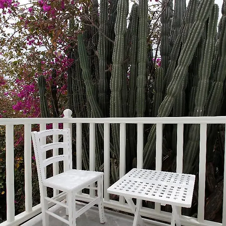 Fresh Boutique Hotel