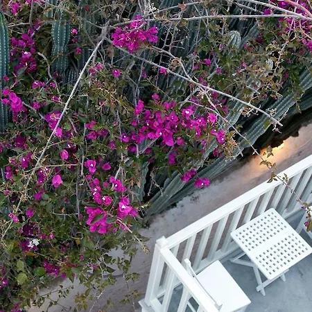Fresh Boutique Hotel Mykonos Town